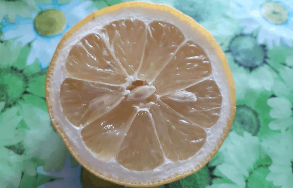 primi semi limone roma